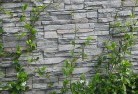 Carindagreen-walls-4.jpg; ?>